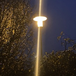 Lichtverschmutzung in unseren Gärten - In vielen Gärten wird die Nacht zum Tag gemacht