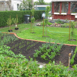 Kleingärtnerische Nutzung aus gartenfachlicher Sicht