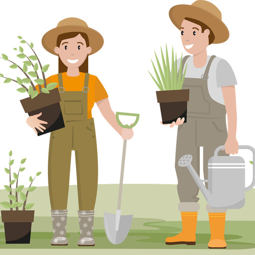 Ausbildung - Gartenberater*in - Grundkurs der Gartenfachberatung