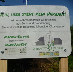 Biodiversität in der Kleingartenanlage