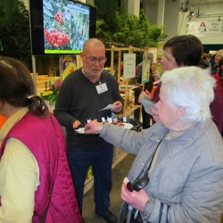 IGW 2015