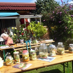 Sommer im Glas    -  Workshop im Kleingartenverein