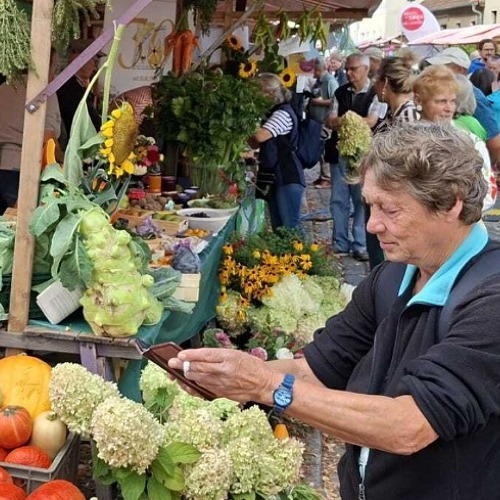 Marzahner Kleing&auml;rtner auf dem Umweltfest am 12.09.2026