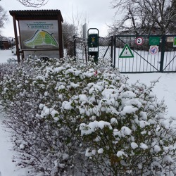 Kalenderblätter -  Nachlese Januar 2021