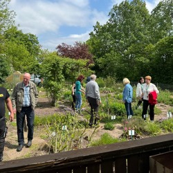 Eröffnung des Lehr -und Schaukräutergartens in der KGA Fuchsberg für das Gartenjahr 2023 am 20. Mai 2023