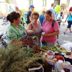25. Umweltfest Marzahn-Hellersdorf