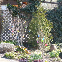 Frühlingserwachen und Ostern 2020 im Kleingarten