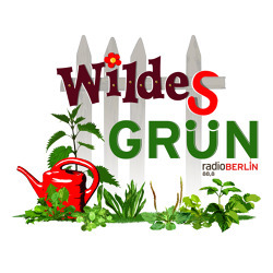 Neues von der radioBERLIN 88,8-Aktion "Wildes Grün"