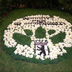 Kalenderblätter  Januar  2022  -  Eisblumen und Blumenfeuerwerk zum Jahresbeginn ?
