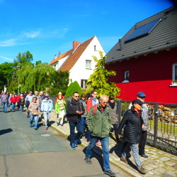 Vom Goldkörnchen zum Kaulsdorfer Busch      