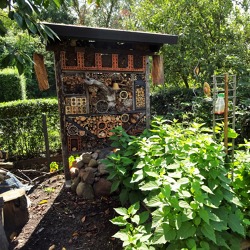 Insekten im Haus- und Kleingarten - Welchen Nutzen bringen Sie mir und was kann ich tun, damit sie sich im Garten ansiedeln
