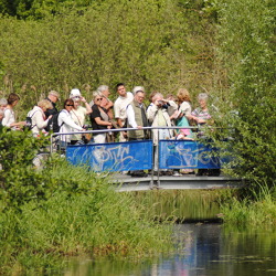 9. Marzahn-Hellersdorfer Kleingartenwanderung