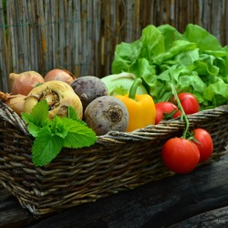 Präsentation des Bezirksverbandes Berlin-Marzahn der Gartenfreunde e.V.auf der Internationalen Grünen Woche 2018