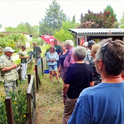 Gartenwanderung in der Kleingartenanlage „Hafersteigkette“