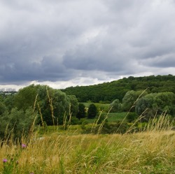 Wildkräuter aus der grünen Küche - Rundgang durch das Wuhletal 